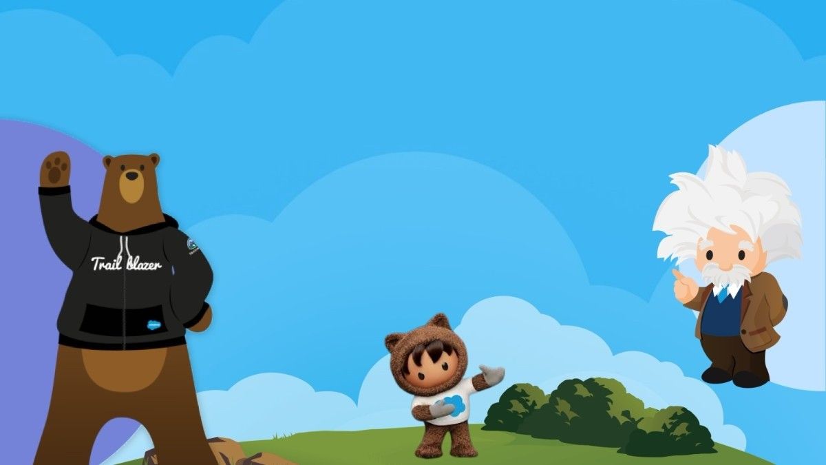 Salesforce Partner